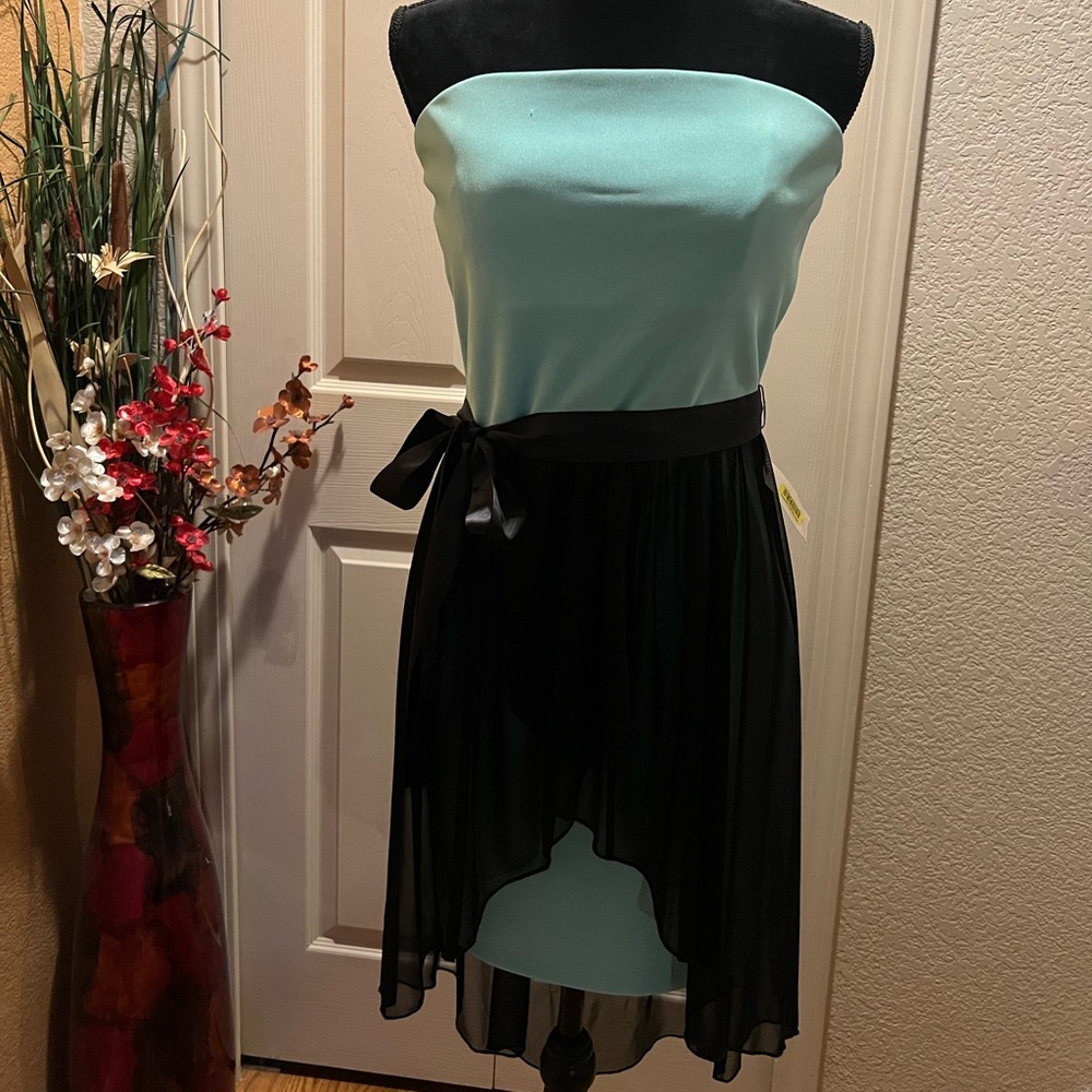 Sapphire Dolls fitted sheer dress Mint Green/Black